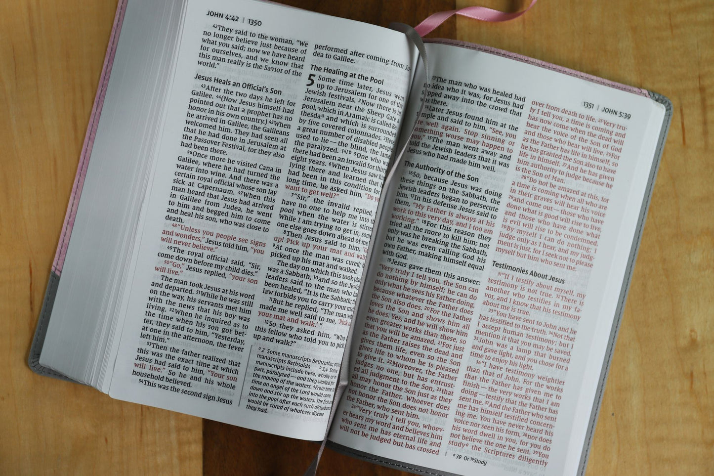 Holy Bible : New International Version, Personal Size Bible, Large Print, Leathersoft, Pink/Gray, Comfort Print, Red Letter Edition