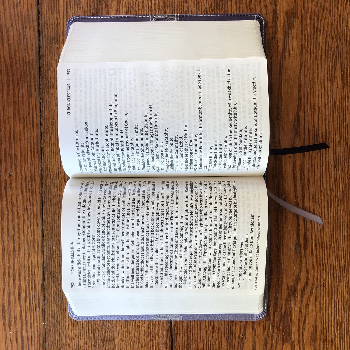 Niv, Giant Print Compact Bible, Leathersoft, Purple, Red Letter Edition, Comfort Print