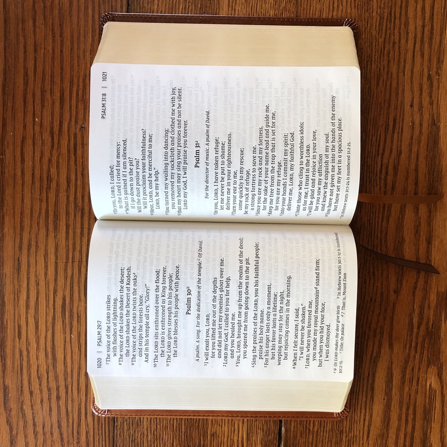 Niv, Giant Print Compact Bible, Leathersoft, Brown, Red Letter Edition, Comfort Print