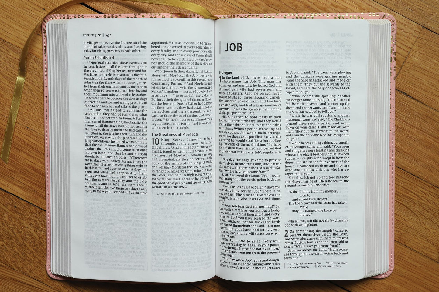 Niv, Bible for Teens, Thinline Edition, Leathersoft, Pink, Red Letter Edition, Comfort Print