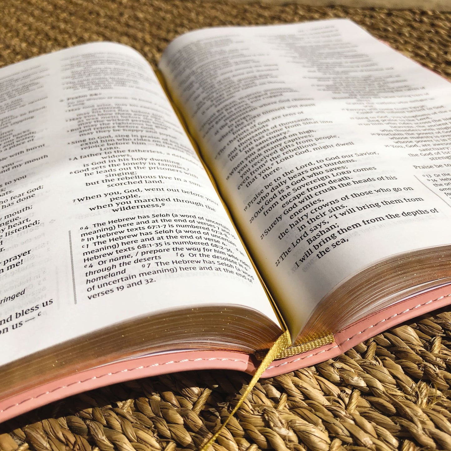 Niv, Bible for Teens, Thinline Edition, Leathersoft, Pink, Red Letter Edition, Comfort Print