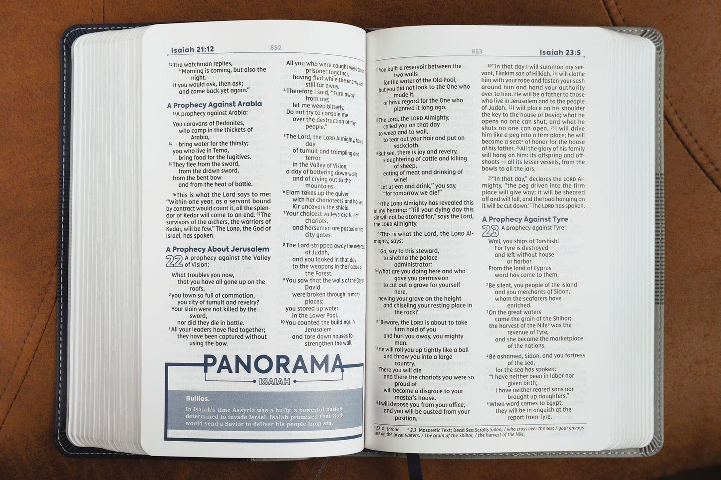 Niv, Teen Study Bible, Leathersoft, Blue, Comfort Print
