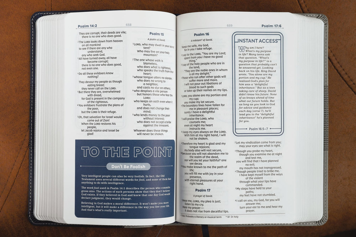 Niv, Teen Study Bible, Leathersoft, Blue, Comfort Print