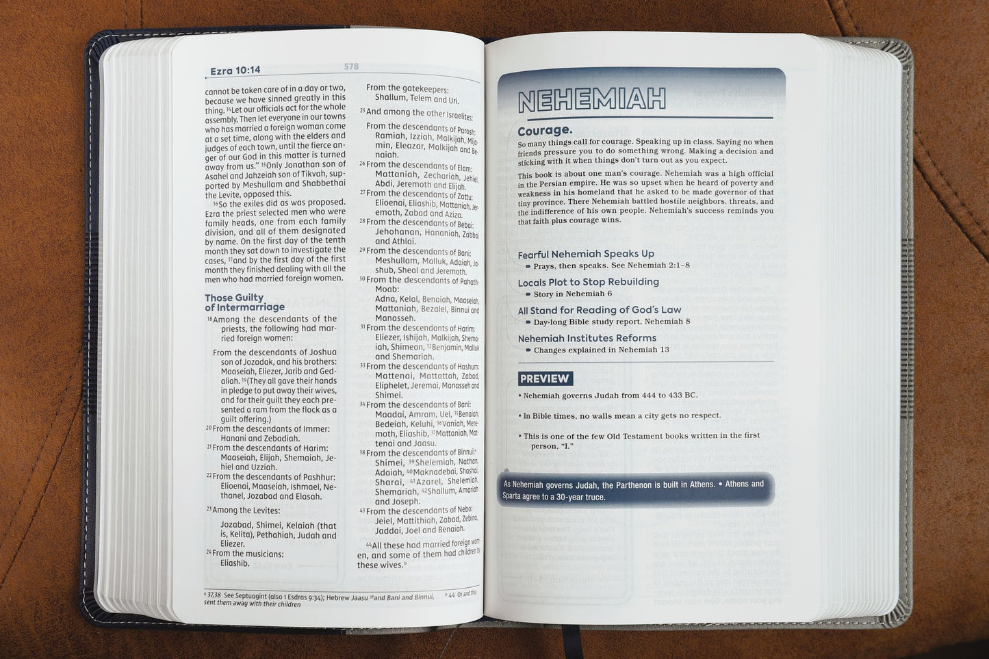 Niv, Teen Study Bible, Leathersoft, Blue, Comfort Print