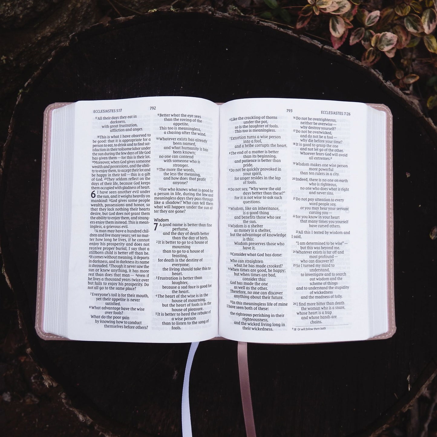 NIV, Larger Print Compact Bible, Leathersoft, Pink, Red Letter, Comfort Print