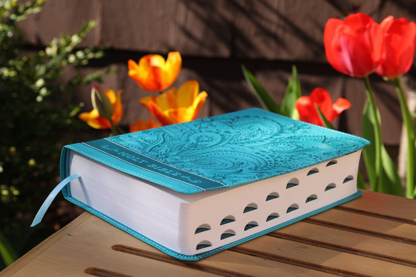 Niv, Bible for Teen Girls, Leathersoft, Blue, Thumb Indexed Tabs: Growing in Faith, Hope, and Love