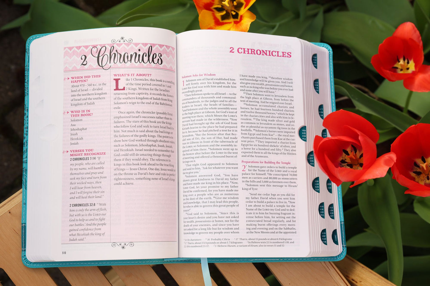 Niv, Bible for Teen Girls, Leathersoft, Blue, Thumb Indexed Tabs: Growing in Faith, Hope, and Love