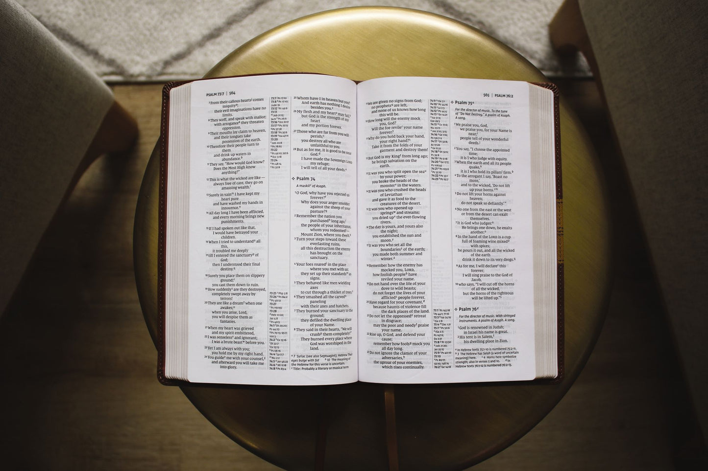Niv, Thinline Reference Bible, Leathersoft, Brown, Red Letter, Comfort Print