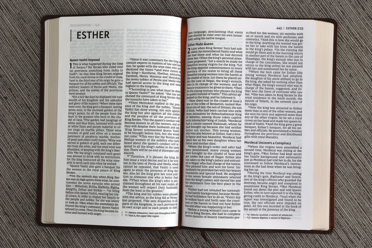 NIV, Thinline Bible, Large Print, Leathersoft, Brown, Red Letter, Comfort Print