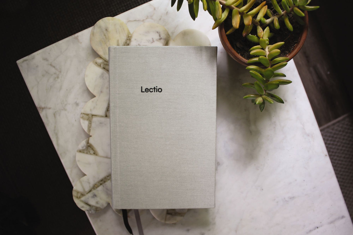 NIV Lectio Bible: A simple, ancient way to read the library of Scripture, Cloth over Board: The Practicing the Way edition with an introduction by John Mark Comer