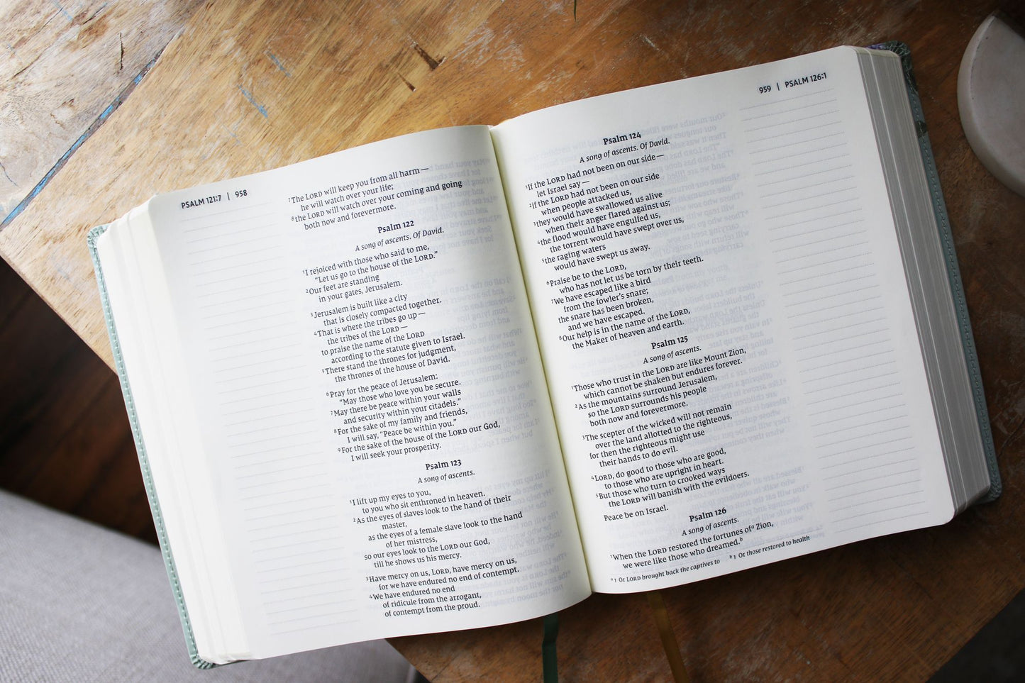 NIV, Artisan Collection Bible, Large Print, Leathersoft, Sage Floral, Red Letter, Comfort Print