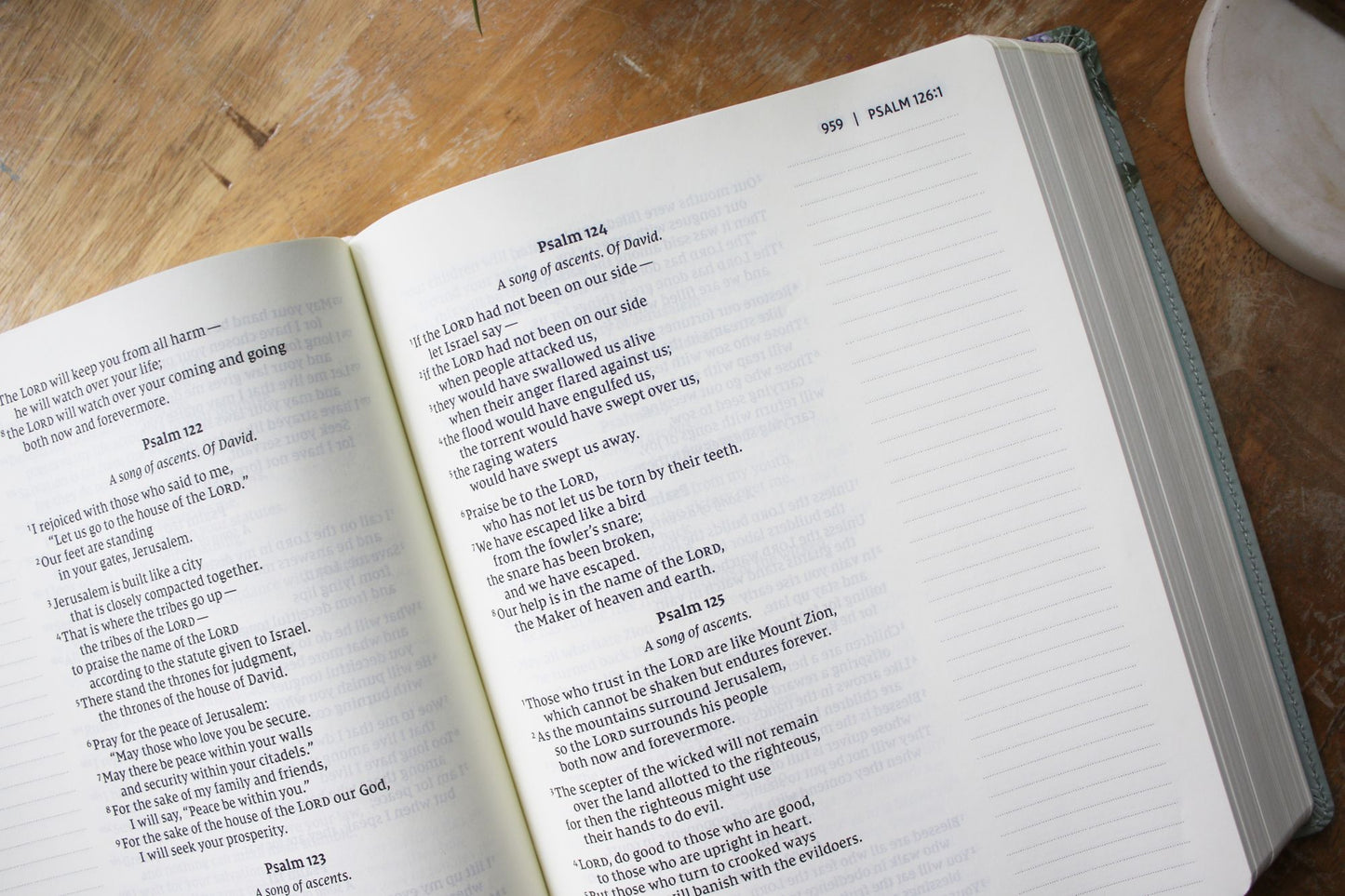 NIV, Artisan Collection Bible, Large Print, Leathersoft, Sage Floral, Red Letter, Comfort Print