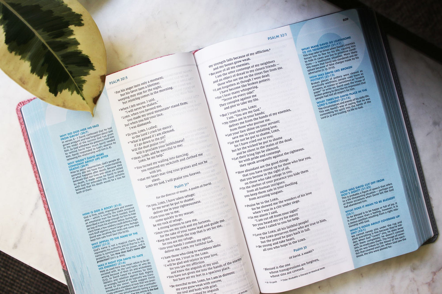 NIV, Quest Study Bible, Large Print, Leathersoft, Gray/Pink, Comfort Print: The Only Q and A Study Bible