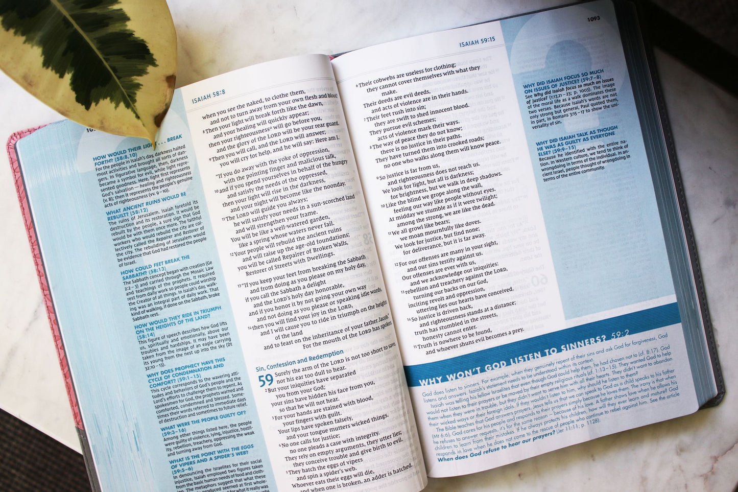 NIV, Quest Study Bible, Large Print, Leathersoft, Gray/Pink, Comfort Print: The Only Q and A Study Bible