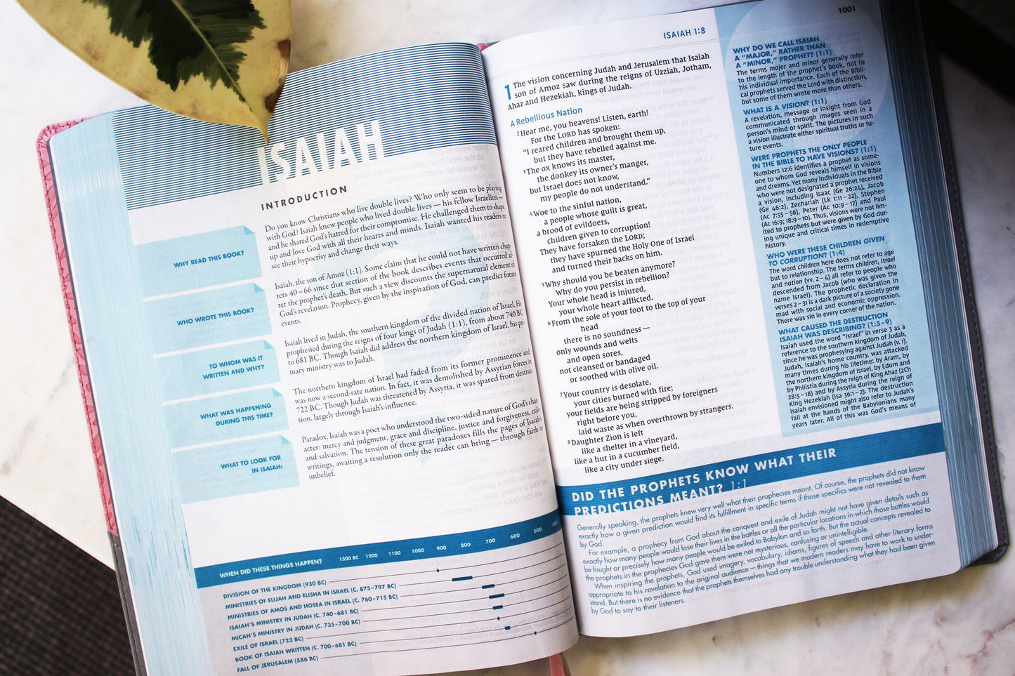 NIV, Quest Study Bible, Large Print, Leathersoft, Gray/Pink, Comfort Print: The Only Q and A Study Bible