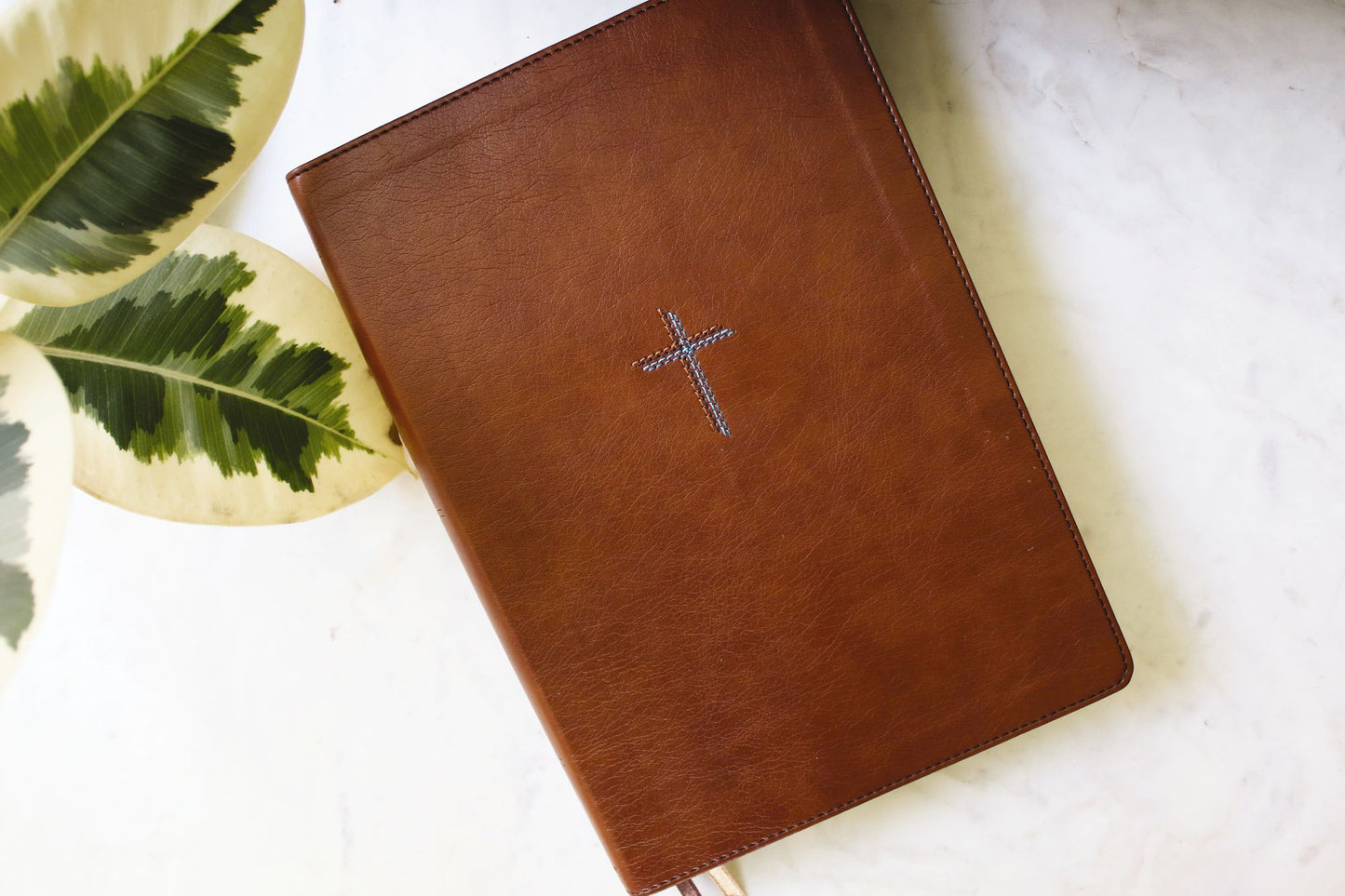 NIV, Quest Study Bible, Large Print, Leathersoft, Brown, Thumb Indexed, Comfort Print: The Only Q and A Study Bible