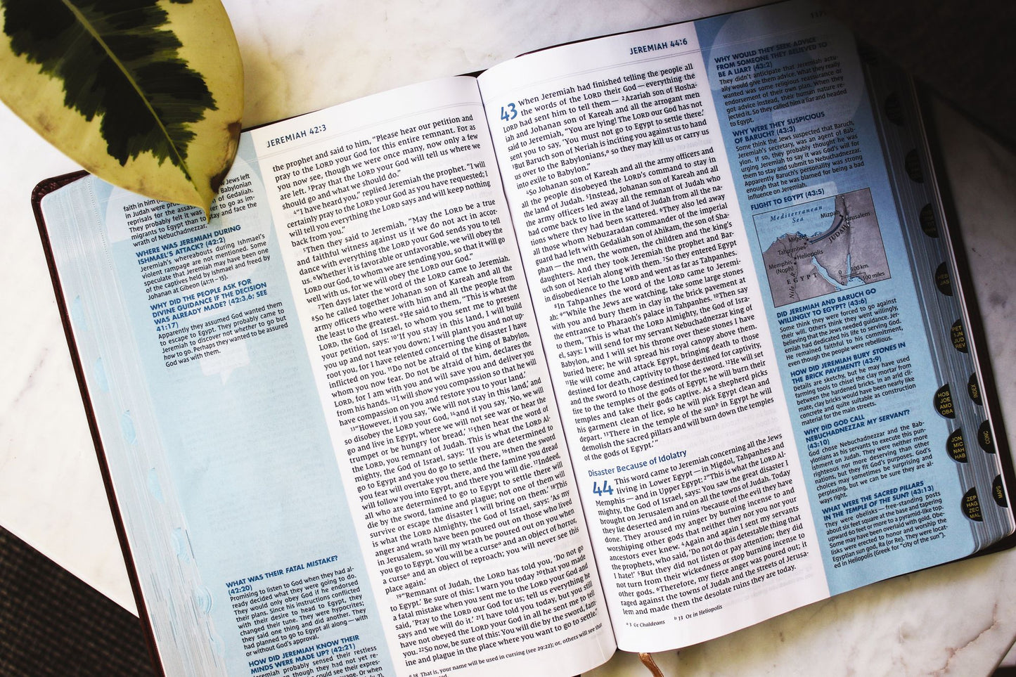 NIV, Quest Study Bible, Large Print, Leathersoft, Brown, Thumb Indexed, Comfort Print: The Only Q and A Study Bible
