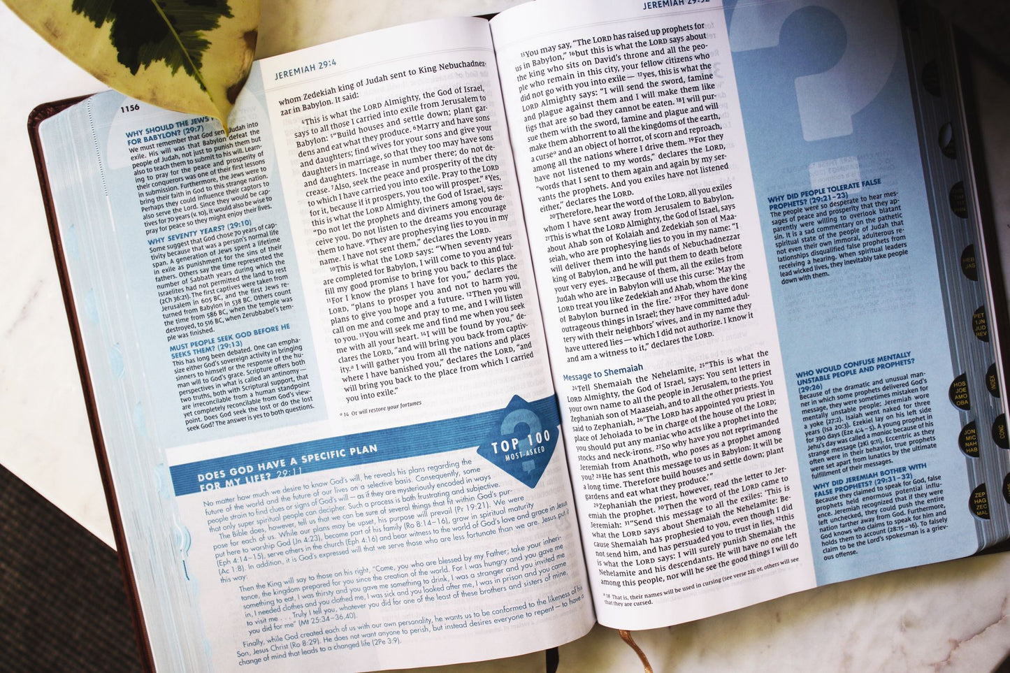 NIV, Quest Study Bible, Large Print, Leathersoft, Brown, Thumb Indexed, Comfort Print: The Only Q and A Study Bible