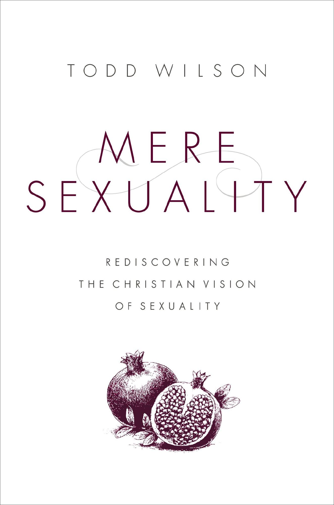 Mere Sexuality: Rediscovering the Christian Vision of Sexuality