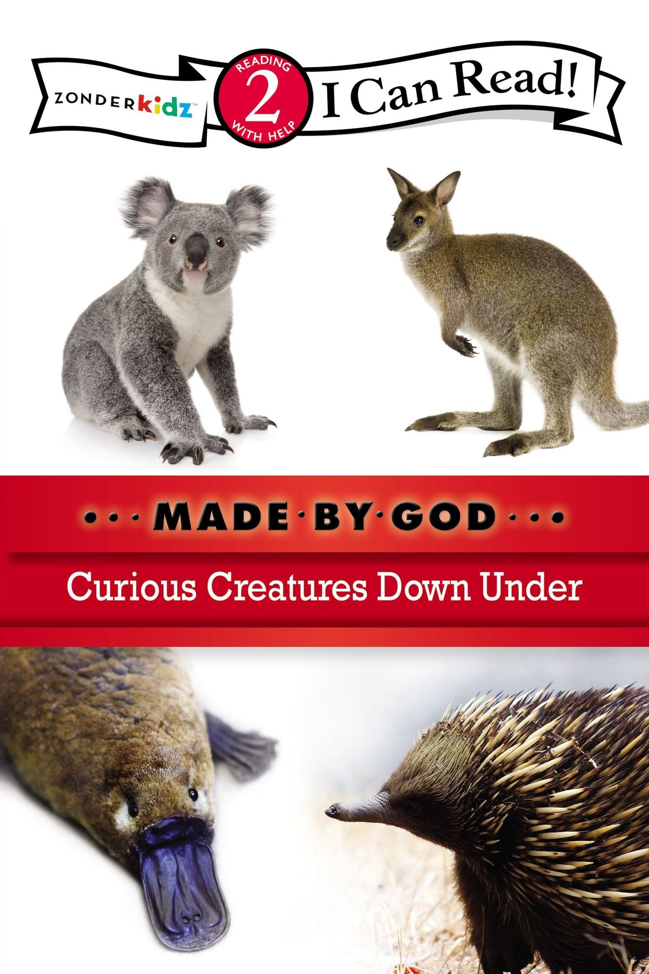 Curious Creatures down Under