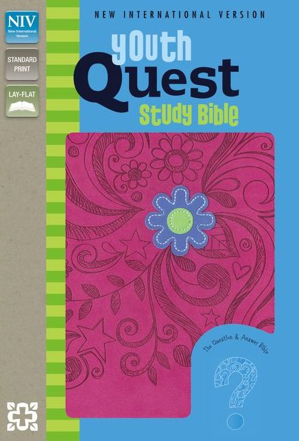 NIV, Youth Quest Study Bible, Imitation Leather, Pink: The Question and Answer Bible
