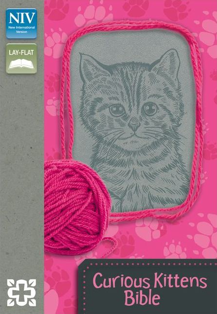 Curious Kittens Bible