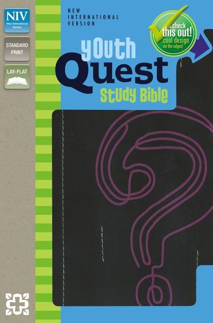 NIV, Youth Quest Study Bible, Imitation Leather, Black/Pink: The Question and Answer Bible