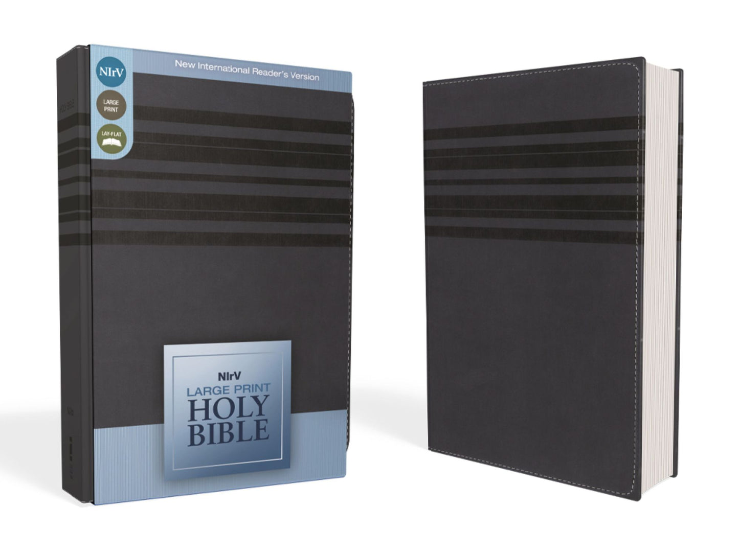 NIrV Large Print Holy Bible