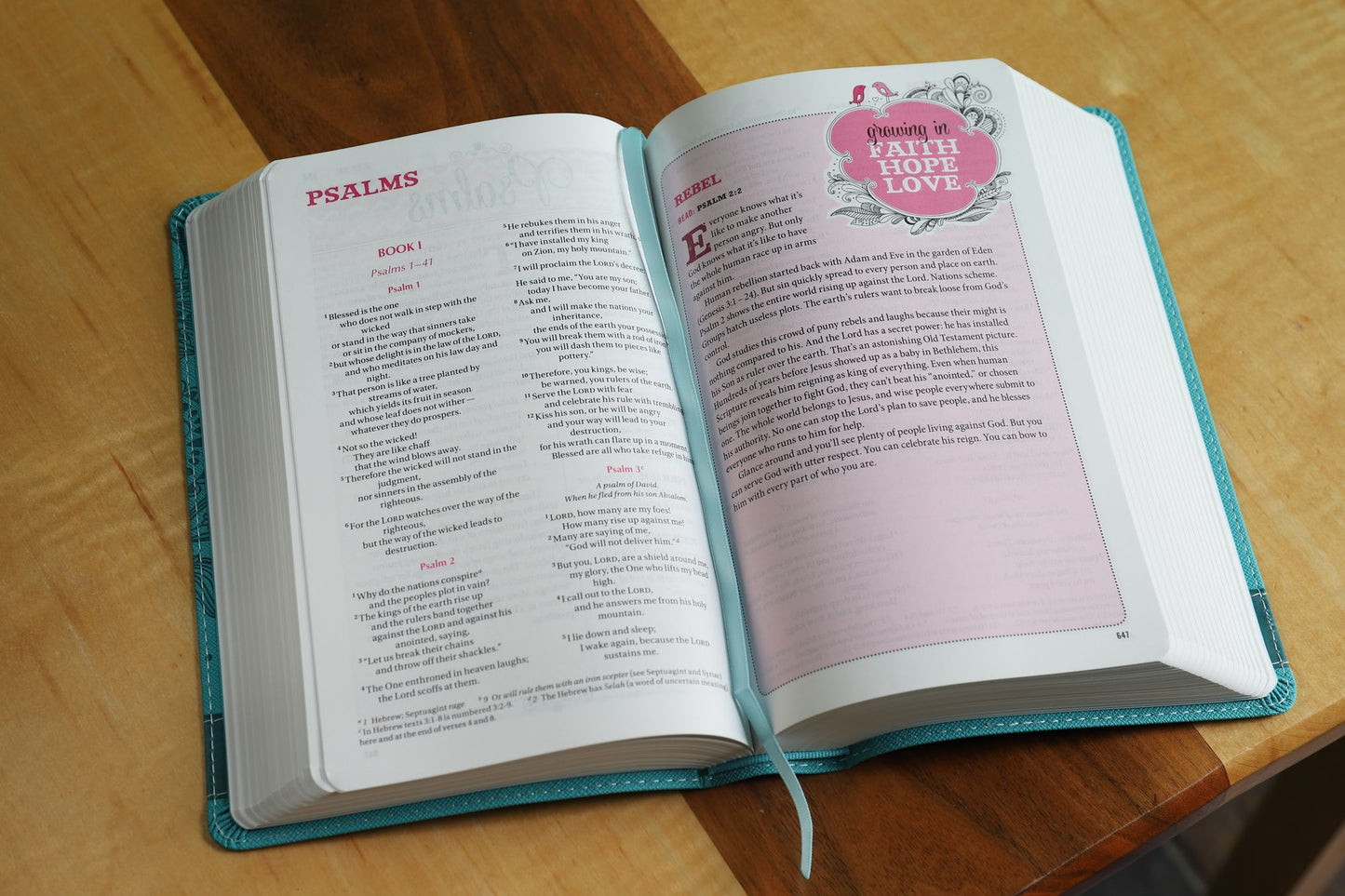 Bible for Teen Girls-NIV: Growing in Faith, Hope, and Love