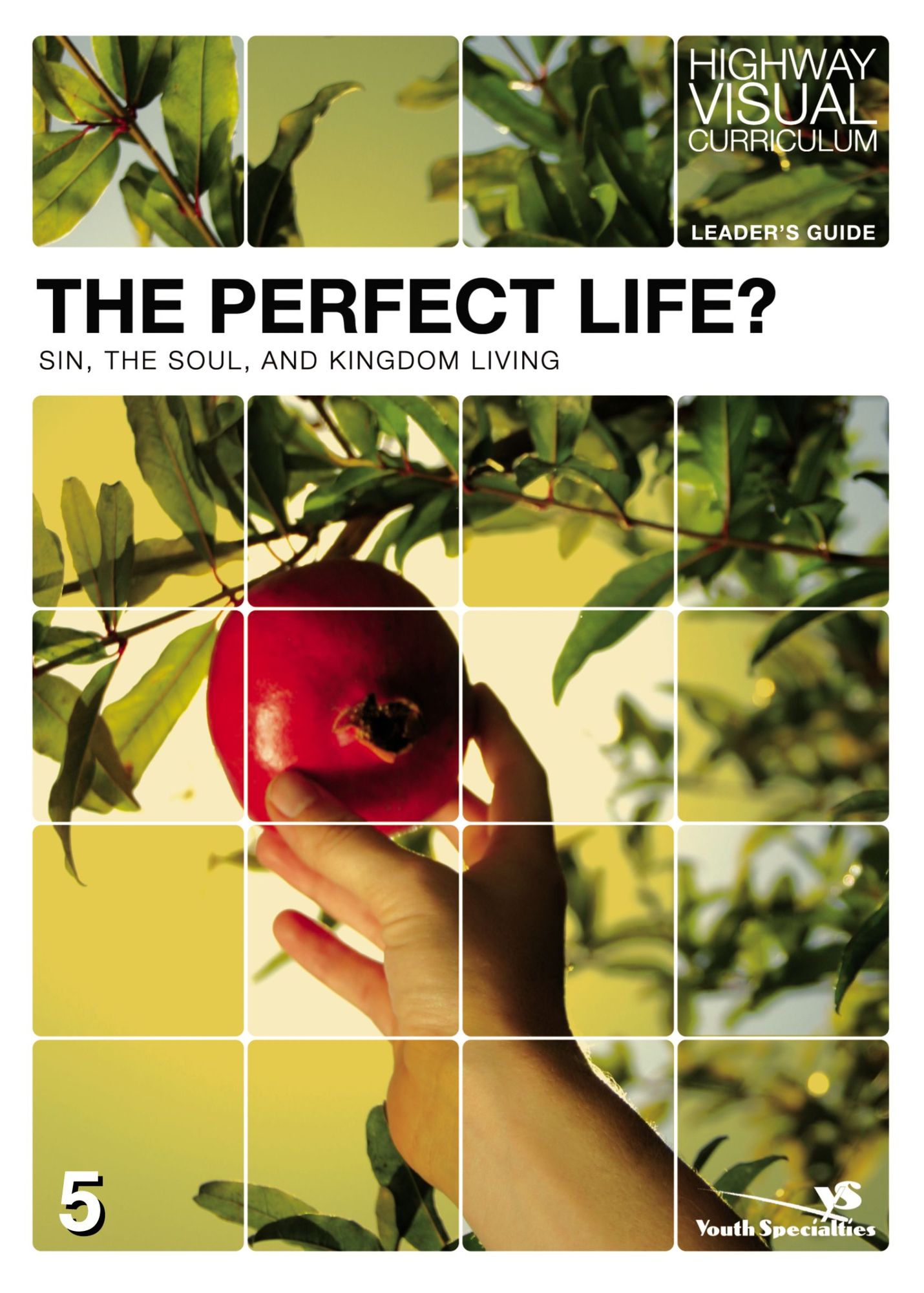 The Perfect Life? Leader's Guide