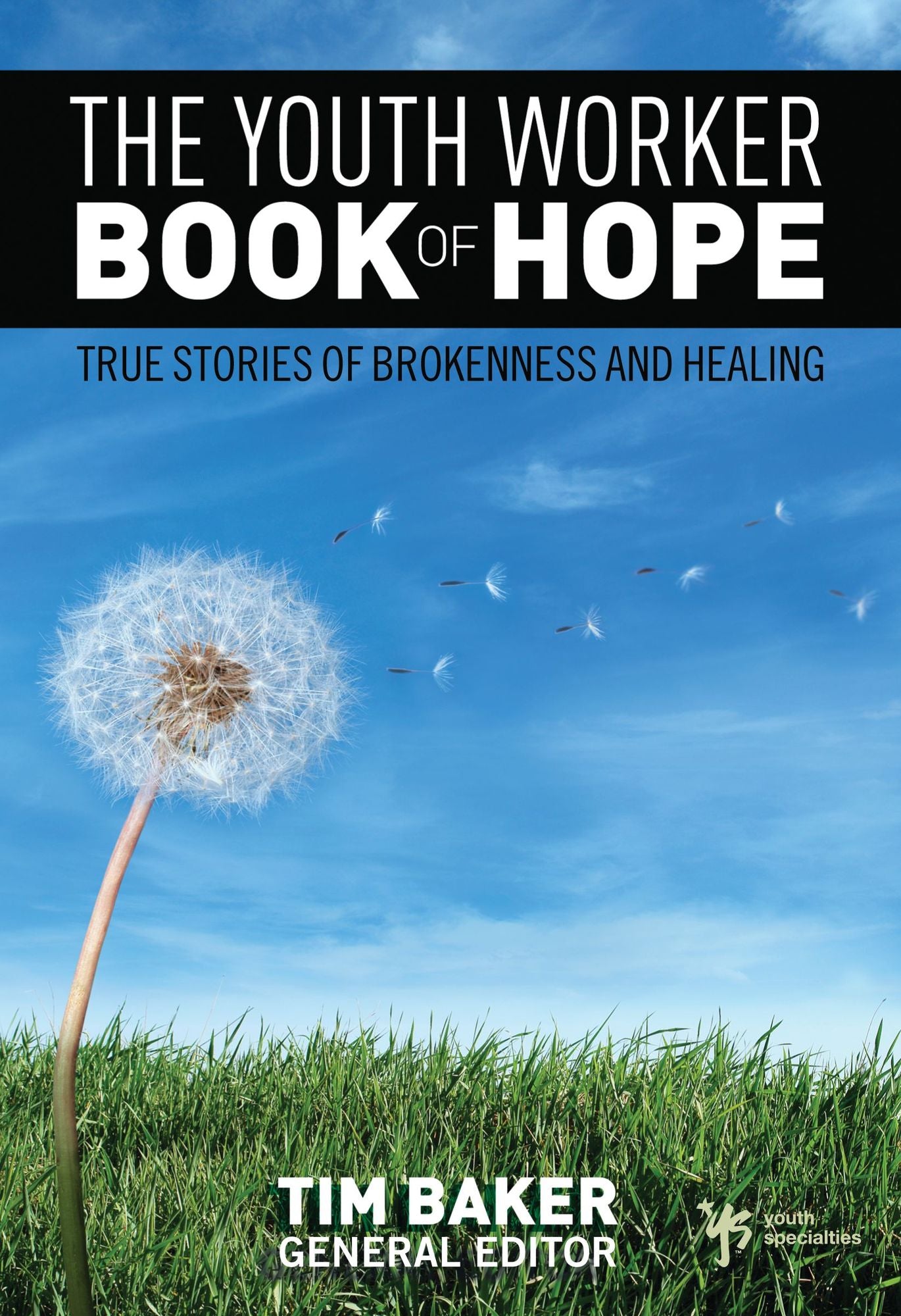 The Youth Worker Book of Hope: True Stories of Brokenness and Healing