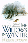 Willows in Winter