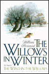 Willows in Winter