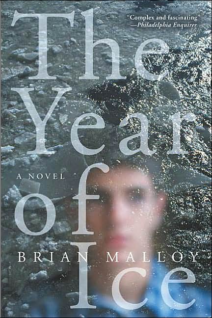 Year of Ice: A Novel