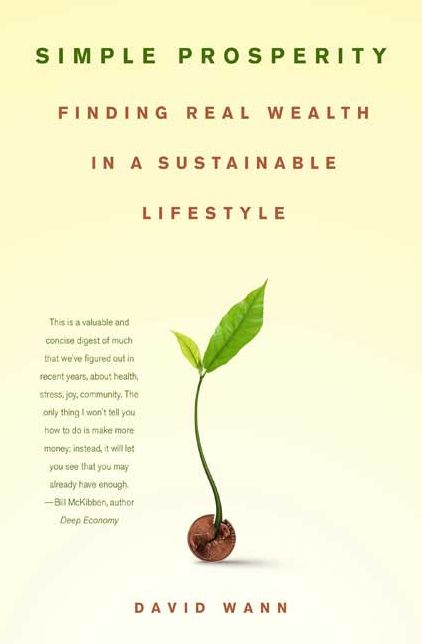 Simple Prosperity: Finding Real Wealth in a Substainable Lifestyle