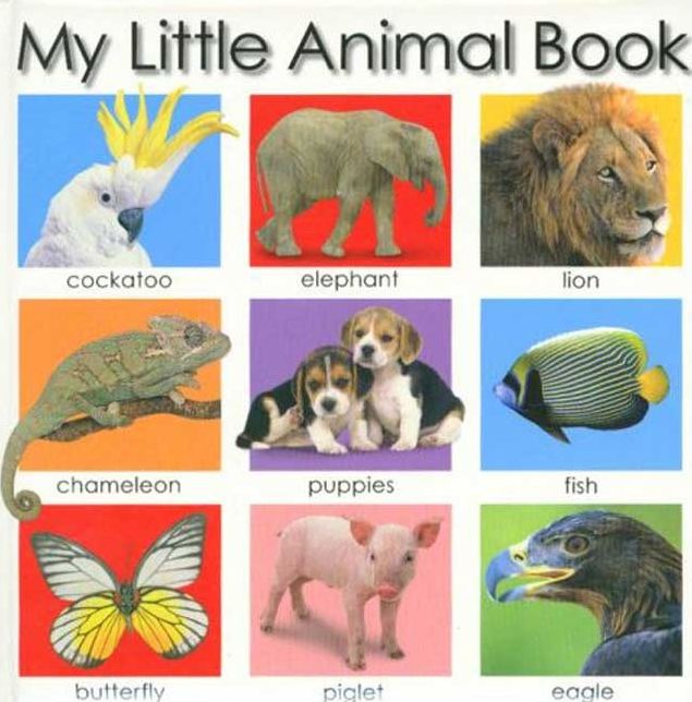 My Little Animal Book