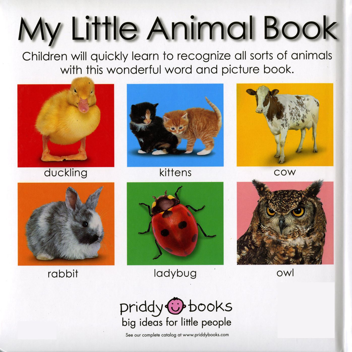 My Little Animal Book
