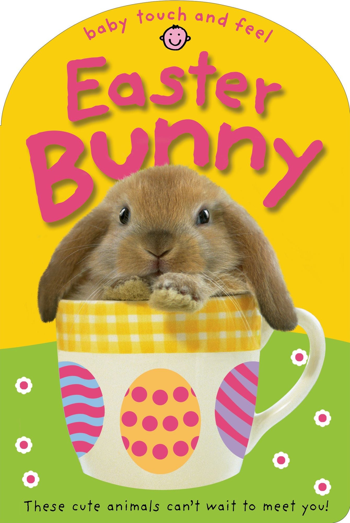 Easter Bunny (Baby Touch and Feel Series)