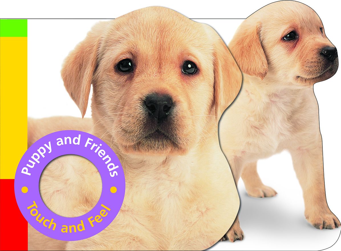 Puppy and Friends