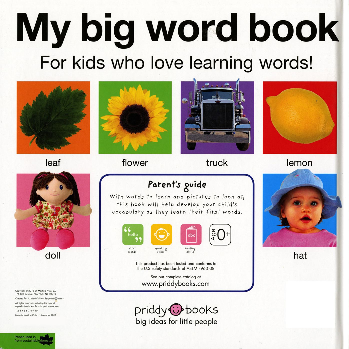 My Big Word Book
