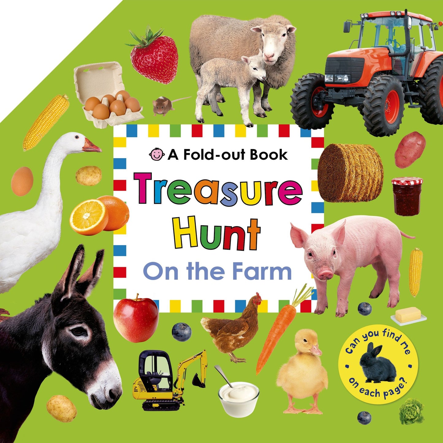 Treasure Hunt: On the Farm