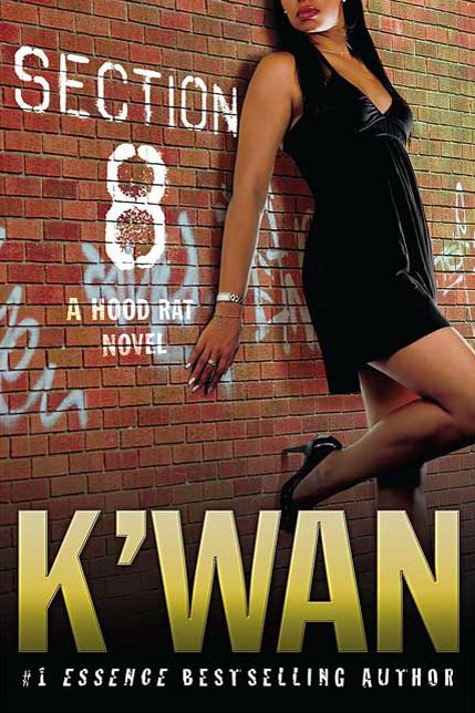 Section 8 (Hood Rat Series)