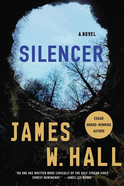 Silencer (Thorn Series #11)