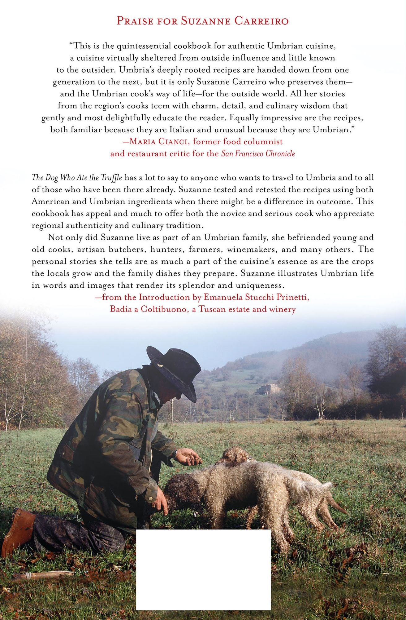 The Dog Who Ate the Truffle: A Memoir of Stories and Recipes from Umbria