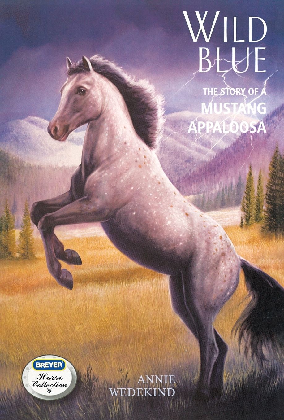 Wild Blue: The Story of a Mustang Appaloosa (Breyer Horse Collection Series)