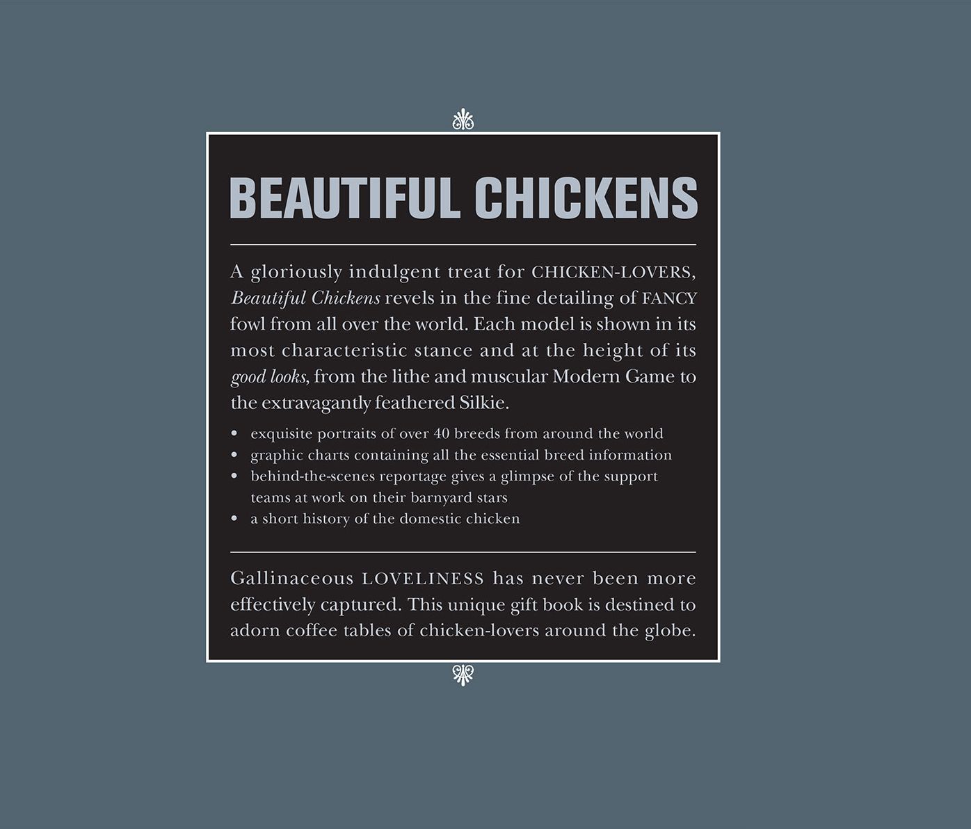 Beautiful Chickens