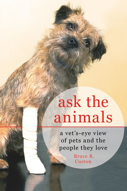 Ask the Animals: A Vet's-Eye View of Pets and the People They Love