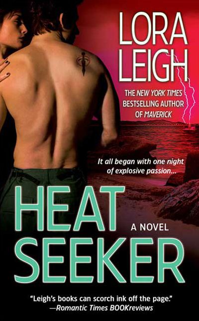 Heat Seeker (Elite Ops Series #3)