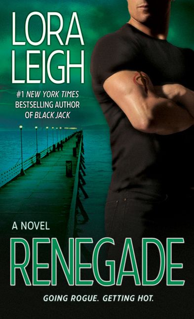 Renegade (Elite Ops Series #5)