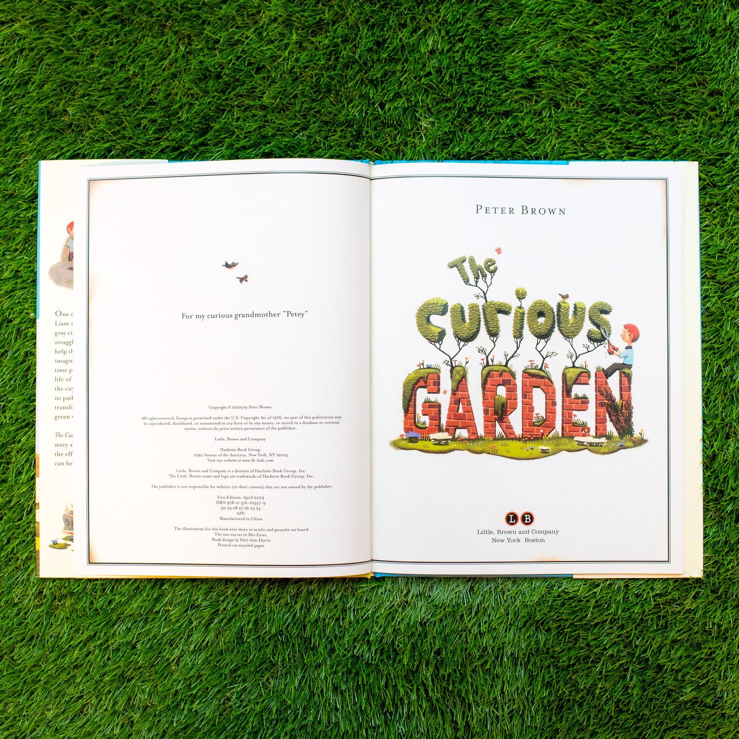 The Curious Garden
